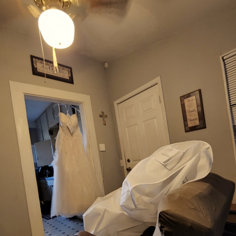 Brand new Wedding Dress